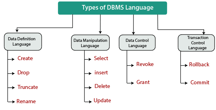 DBMS Language Types and their Commands